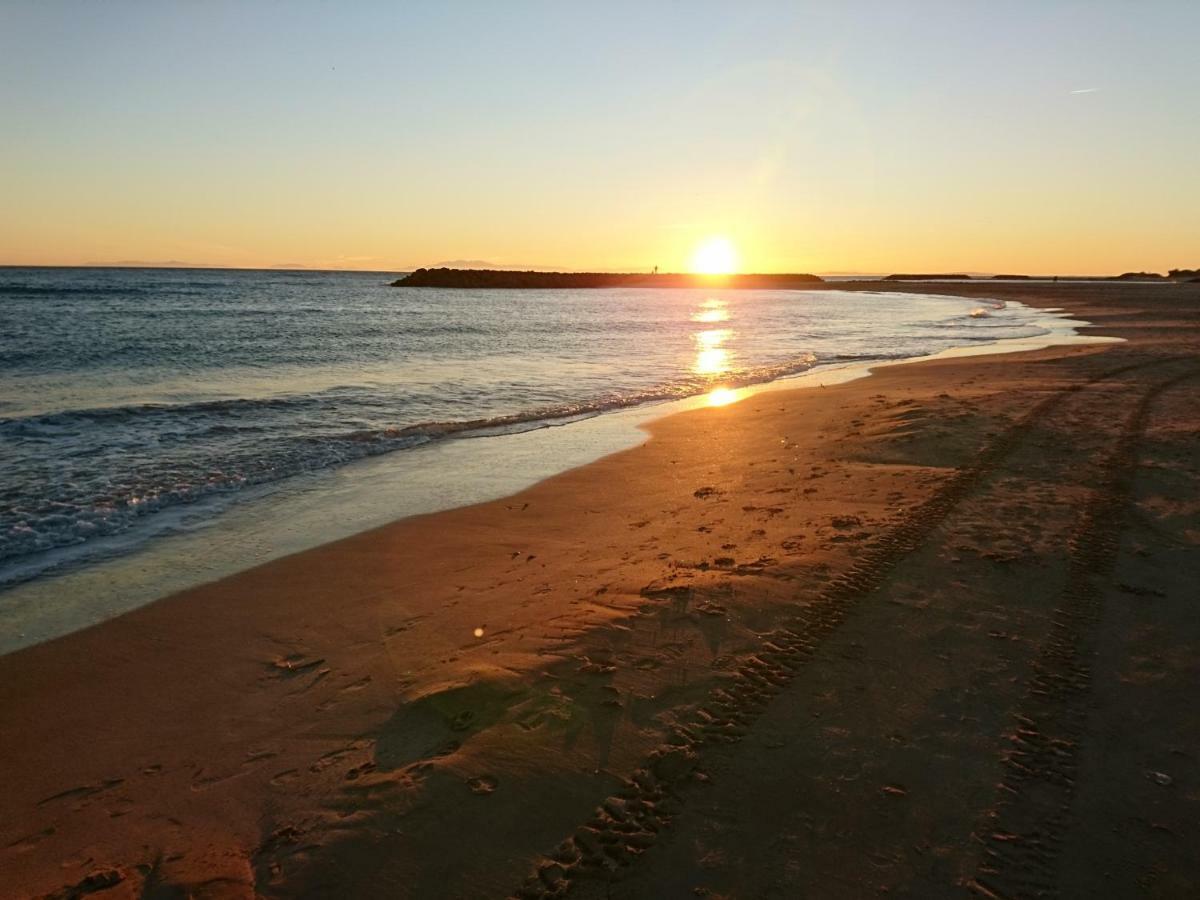Residence Aquaplage 45M2 Front De Mer Plage Richelieu Agde Eksteriør bilde